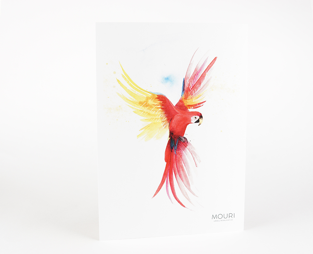 MOURI_Poster_Papagei