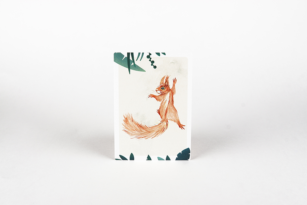 MOURI_Postkarte_Eichhoernchen
