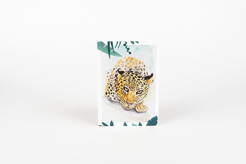 MOURI_Postkarte_Leopard