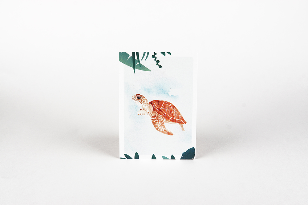 MOURI_Postkarte_Schildkroete