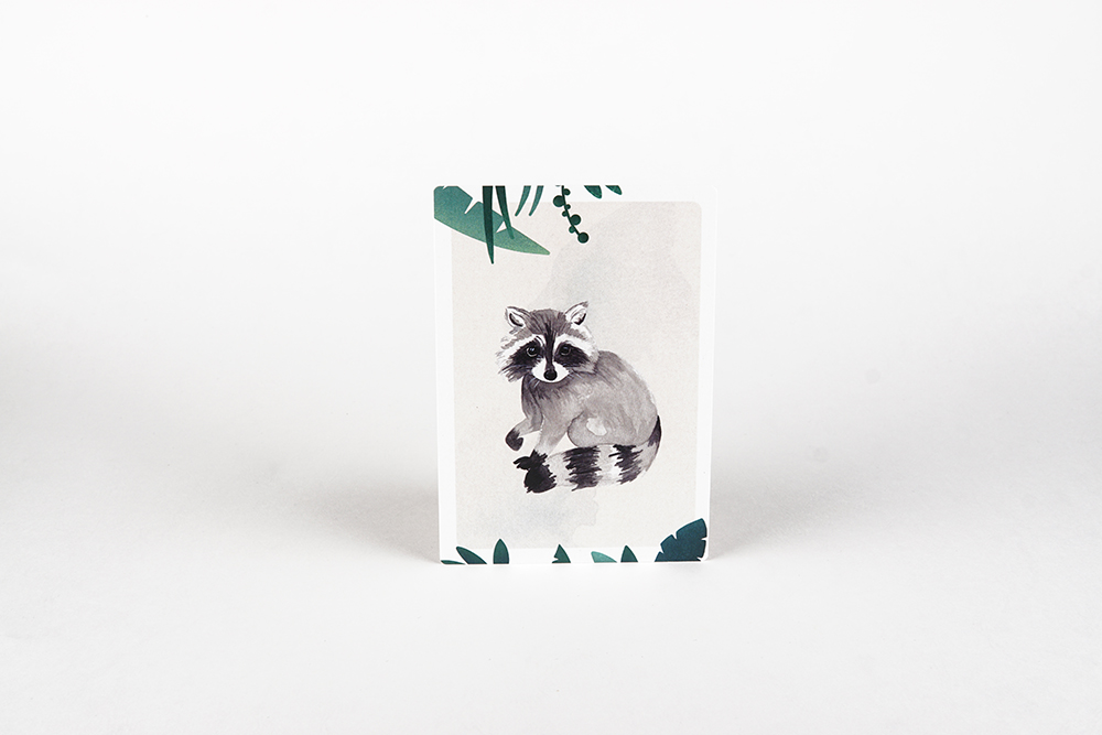 MOURI_Postkarte_Waschbaer